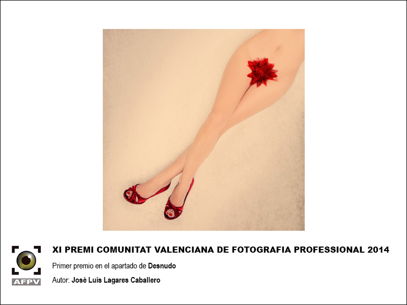 primer-premio-retrato-comunitat-valenciana-2014