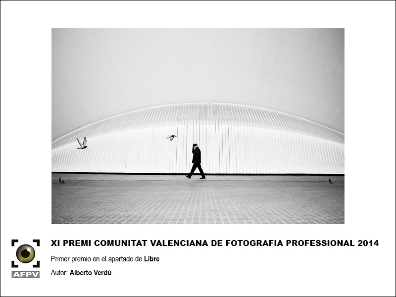 primer-premio-retrato-comunitat-valenciana-2014