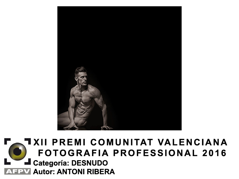 premi-cv-desnudo-antoni-ribera-2016