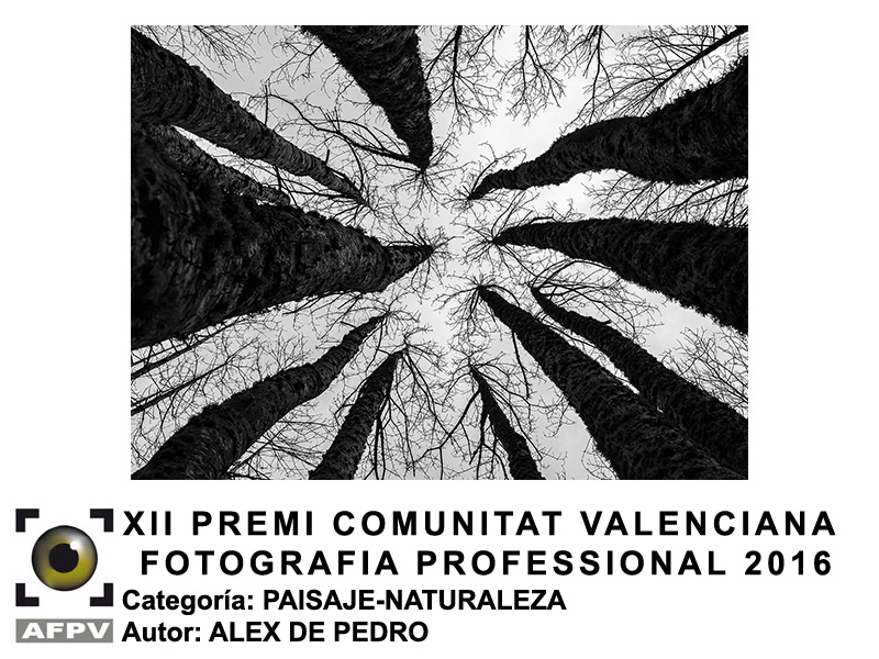 premi-cv-paisaje-naturaleza-alex-de-pedro-2016