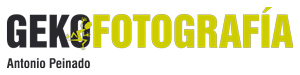 logo Geko fotografía